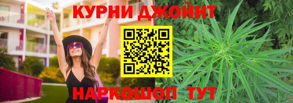 Конопля OG Kush Ессентуки